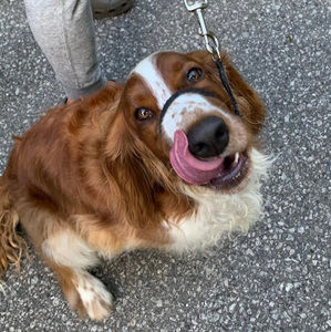 Meet your Posher, Nari6580